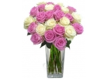 Strawberry Cream - 36 Stems Vase